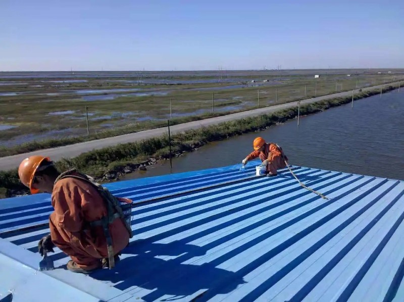 瀍河回族钢结构屋面漏水原因